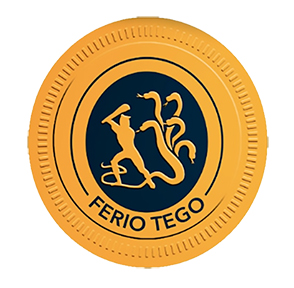 Ferio Tego Logo Michael Herklots Interview