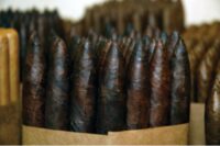 Maduro Cigars