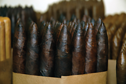 Maduro Cigars